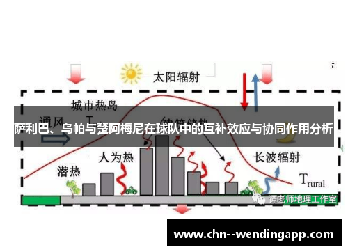 萨利巴、乌帕与楚阿梅尼在球队中的互补效应与协同作用分析 萨利巴、乌帕与楚阿梅尼在球队中的互补效应与协同作用分析