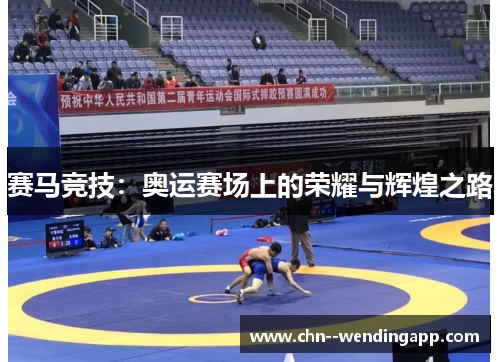 赛马竞技：奥运赛场上的荣耀与辉煌之路
